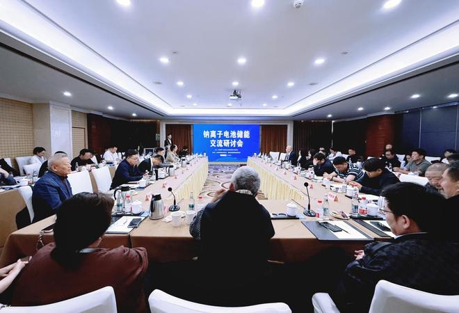 钠离子电池储能交流研讨会成功举办开元棋牌app构建新型储能底座